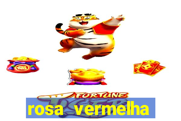 rosa vermelha (letra e cifra)